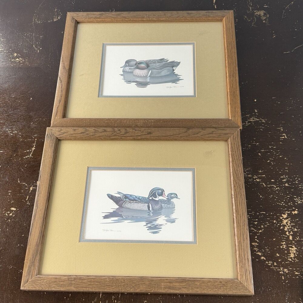 Richard Sloan Duck Prints Set Of 2 Vintage 1981 13x16 Plastic Panel Wood Frames